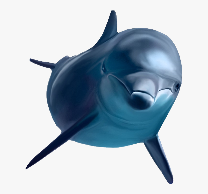 Detail 3d Dolphin Png Nomer 9