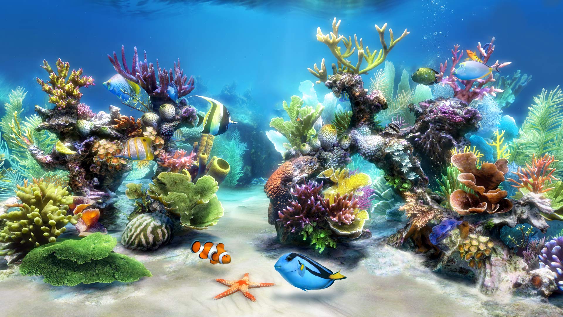 Detail 3d Fish Live Wallpaper Nomer 16