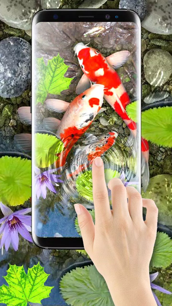 Detail 3d Fish Live Wallpaper Nomer 17