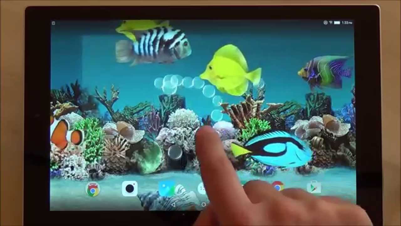 Download 3d Fish Live Wallpaper Nomer 18