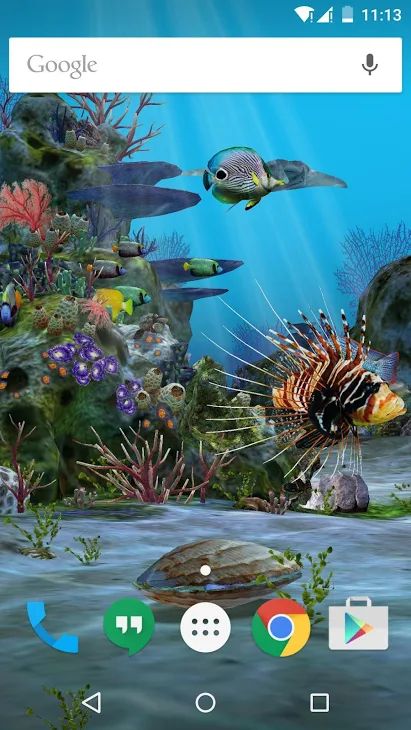 Detail 3d Fish Live Wallpaper Nomer 33