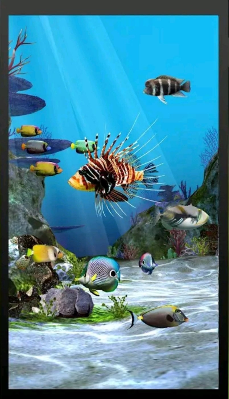 Detail 3d Fish Live Wallpaper Nomer 47