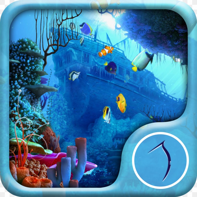 Detail 3d Fish Live Wallpaper Nomer 49