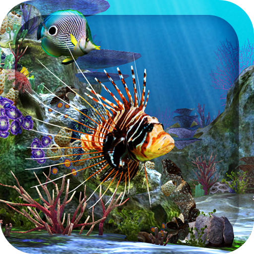 Detail 3d Fish Wallpaper Nomer 28