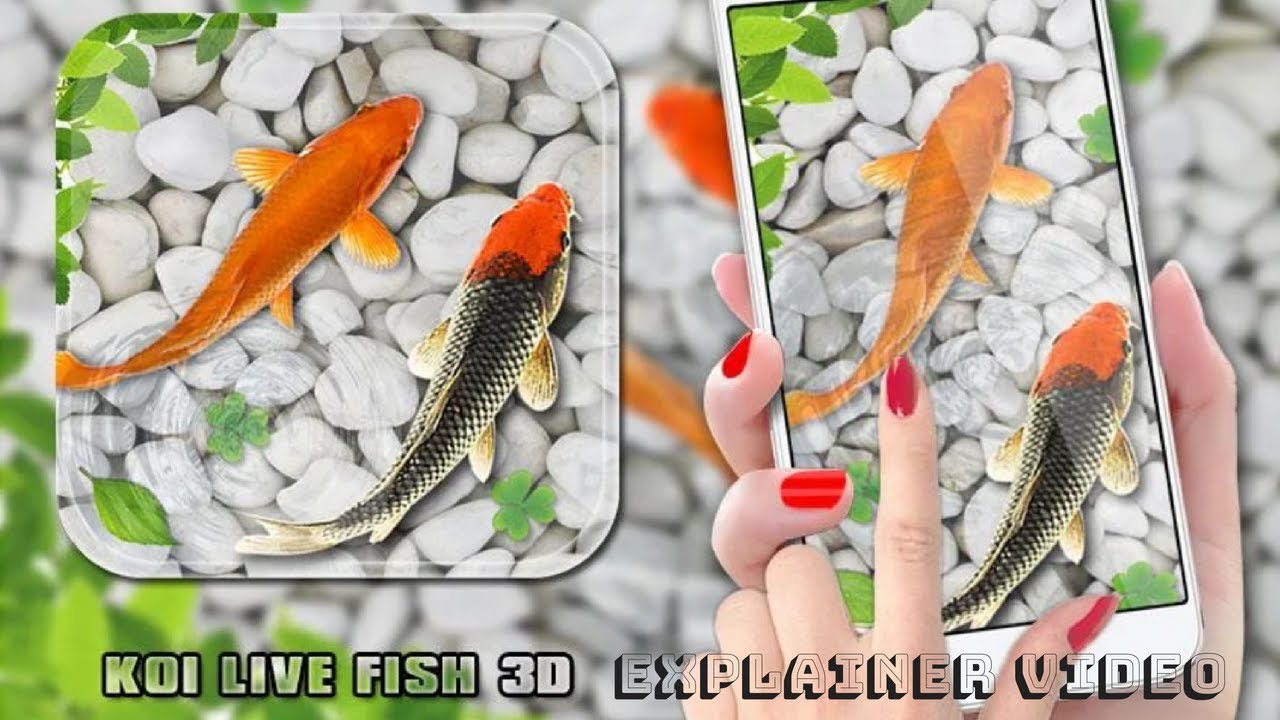 Detail 3d Fish Wallpaper Nomer 30