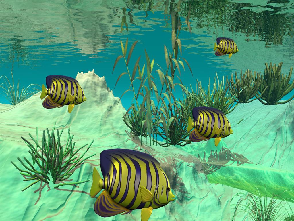 Download 3d Fish Wallpaper Nomer 42