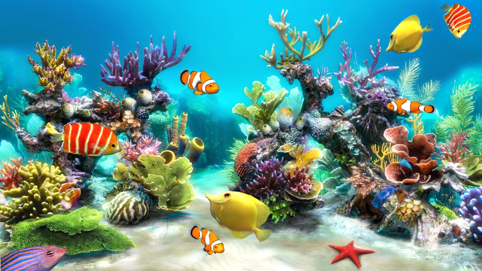 Detail 3d Fish Wallpaper Nomer 54