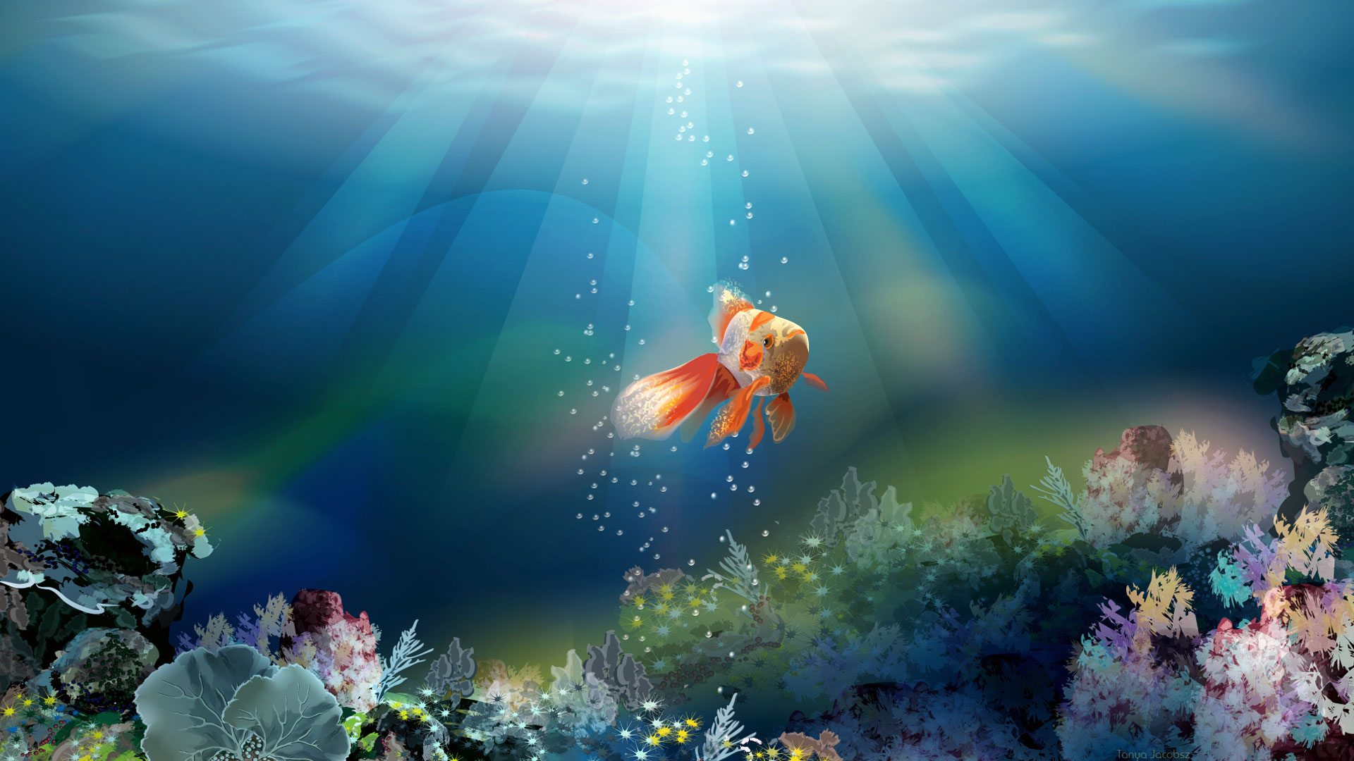 Detail 3d Fish Wallpaper Download Nomer 20