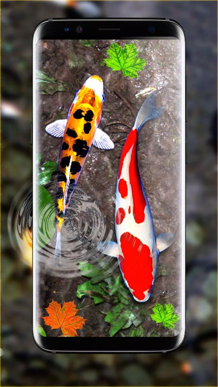 Detail 3d Fish Wallpaper Download Nomer 6