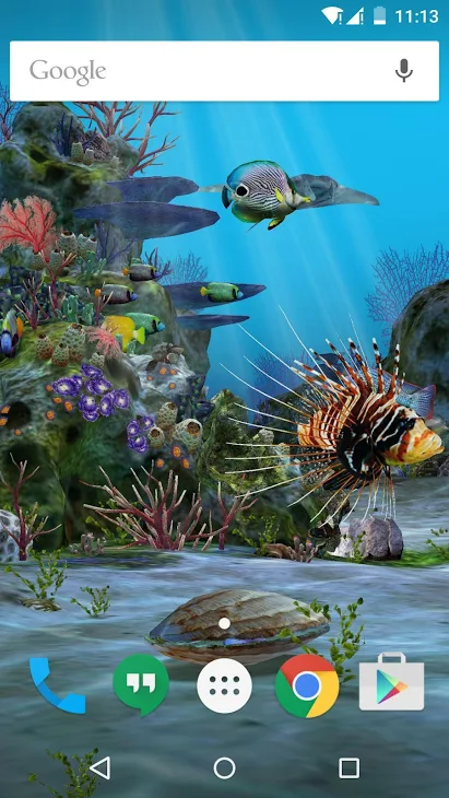 Detail 3d Fish Wallpaper Hd Nomer 27