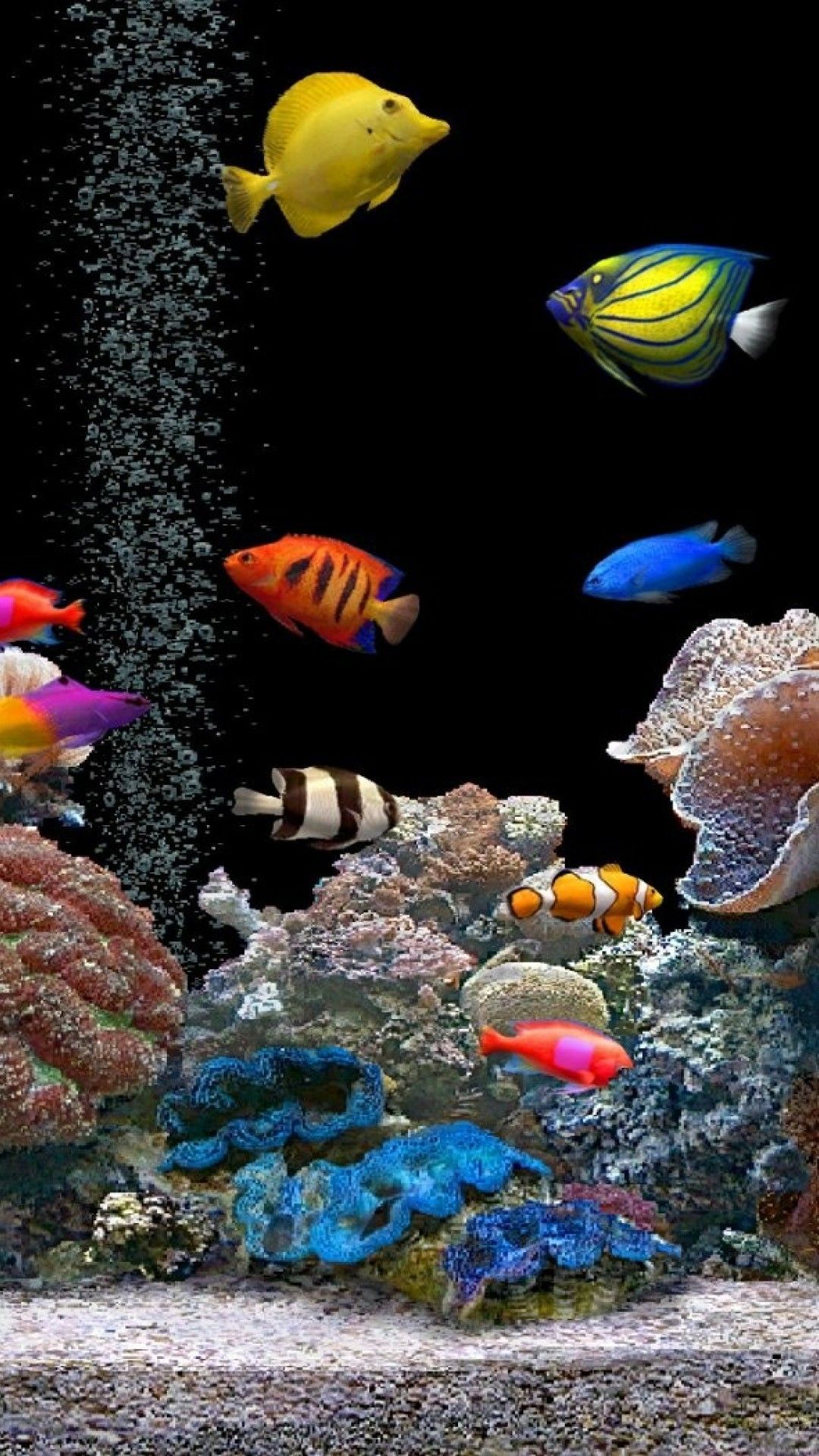 Detail 3d Fish Wallpaper Hd Nomer 34