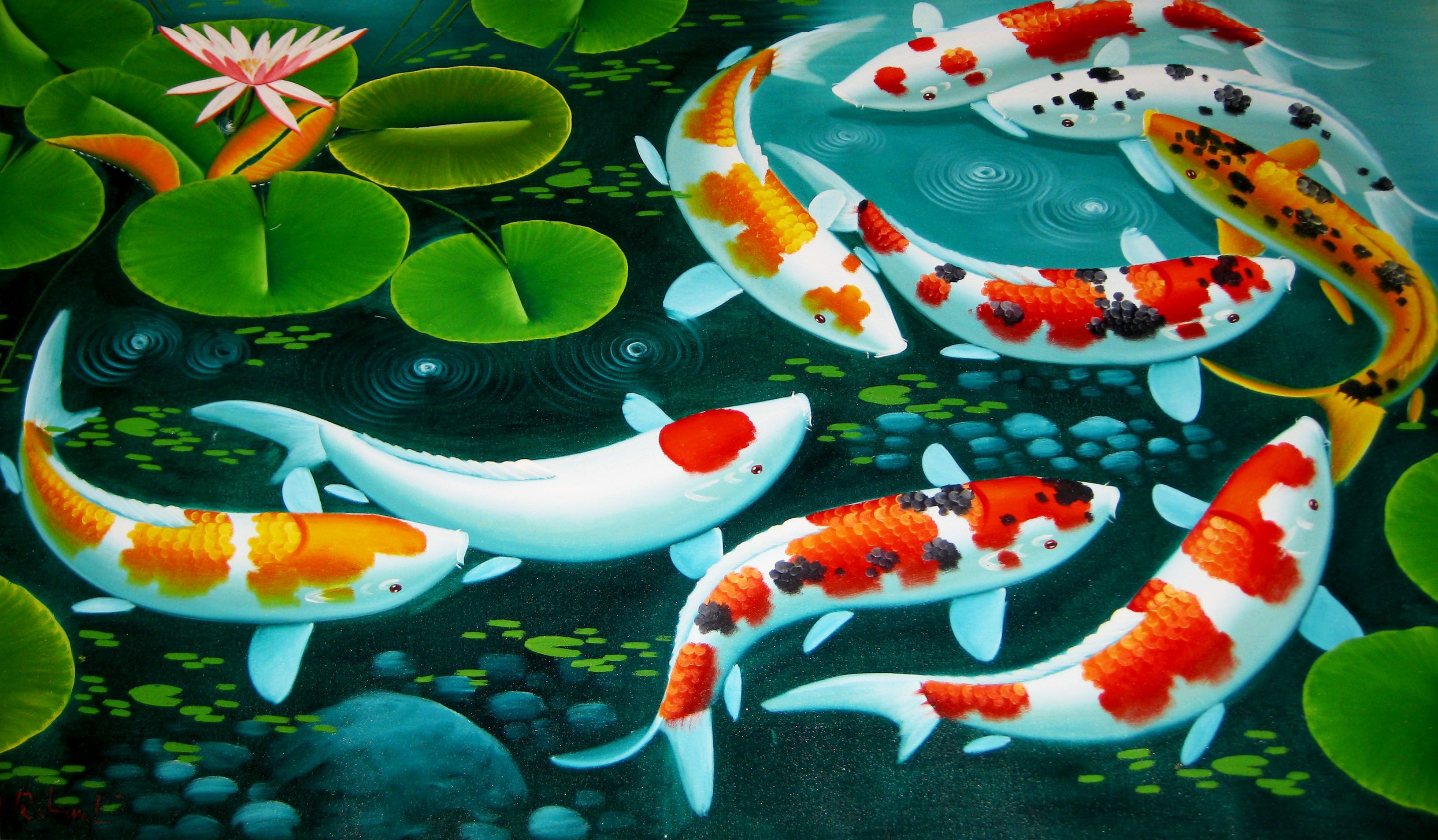 Detail 3d Fish Wallpaper Hd Nomer 35