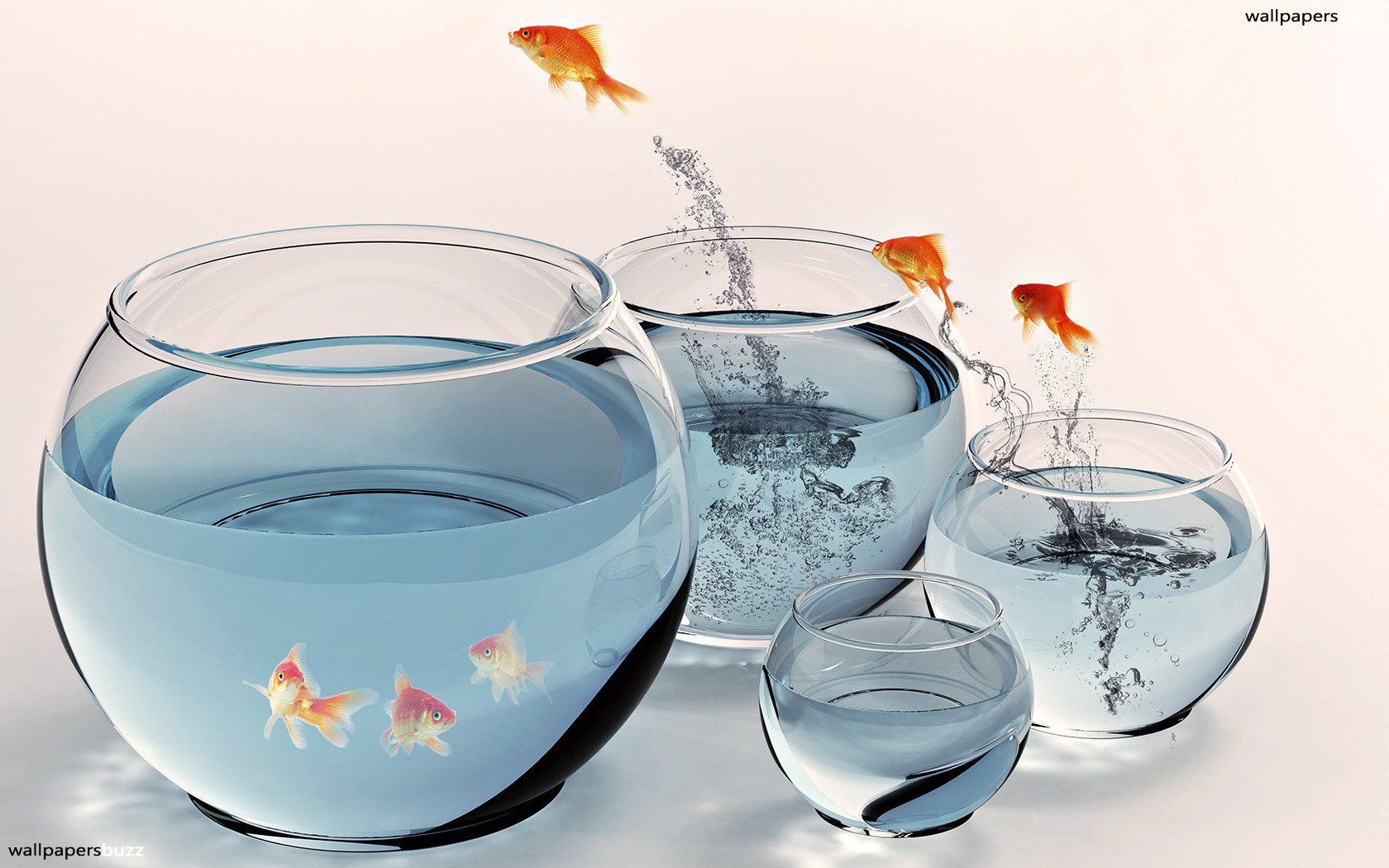 Detail 3d Fish Wallpaper Hd Koleksi Nomer 58