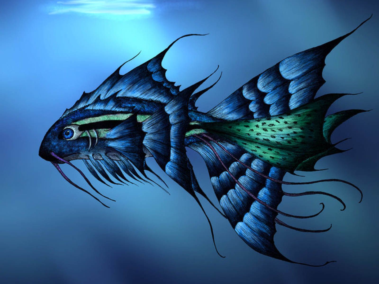 Detail 3d Fish Wallpaper Hd Nomer 8