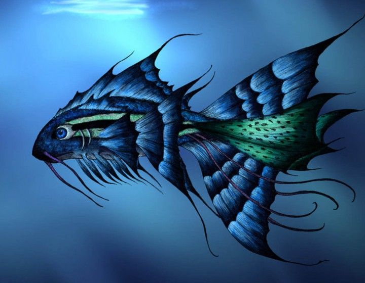 Detail 3d Fish Wallpaper Hd Download Nomer 37