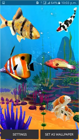 Detail 3d Fish Wallpaper Hd Download Nomer 38