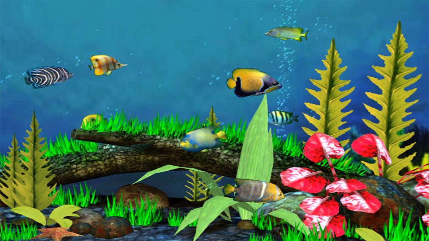 Detail 3d Fish Wallpaper Hd Download Nomer 53