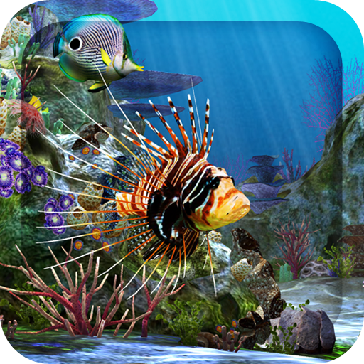 Download 3d Fish Wallpaper Hd Download Nomer 9