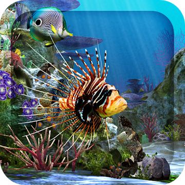 Detail 3d Fish Wallpaper Hd Live Nomer 12