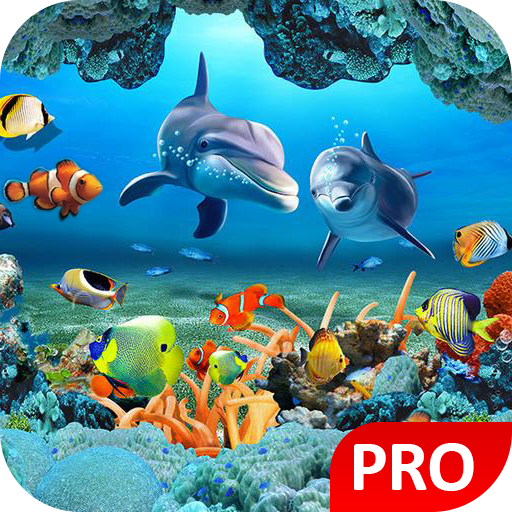 Download 3d Fish Wallpaper Hd Live Nomer 13