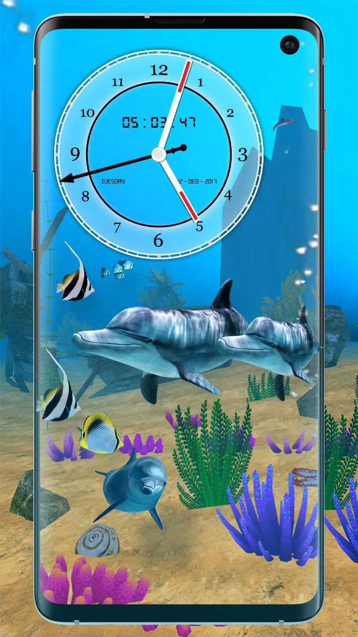 Detail 3d Fish Wallpaper Hd Live Nomer 48