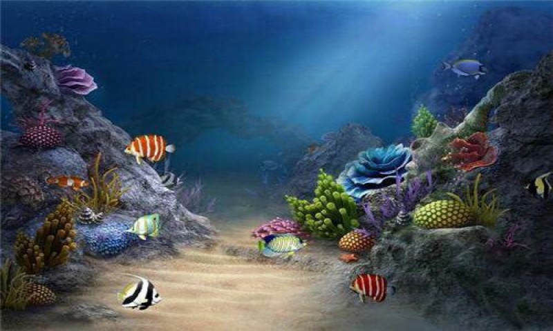 Detail 3d Fish Wallpaper Hd Live Nomer 56