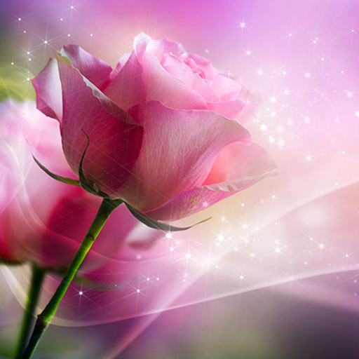 Detail 3d Flower Live Wallpaper Nomer 20