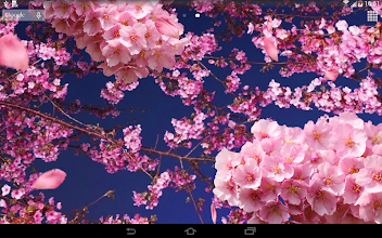 Detail 3d Flower Live Wallpaper Nomer 22