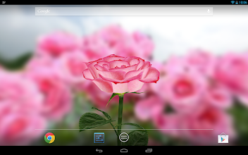 Detail 3d Flower Live Wallpaper Nomer 36