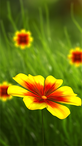 Detail 3d Flower Live Wallpaper Nomer 47