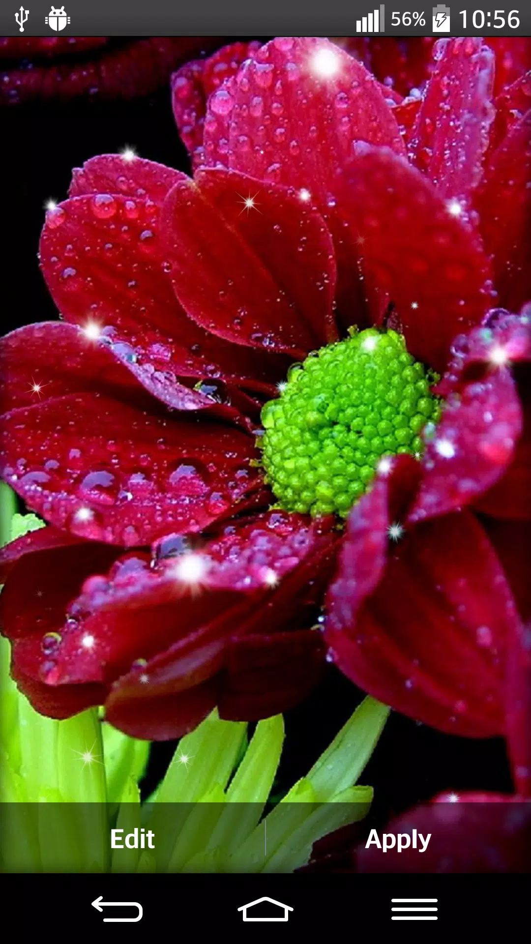 Detail 3d Flower Live Wallpaper Nomer 54