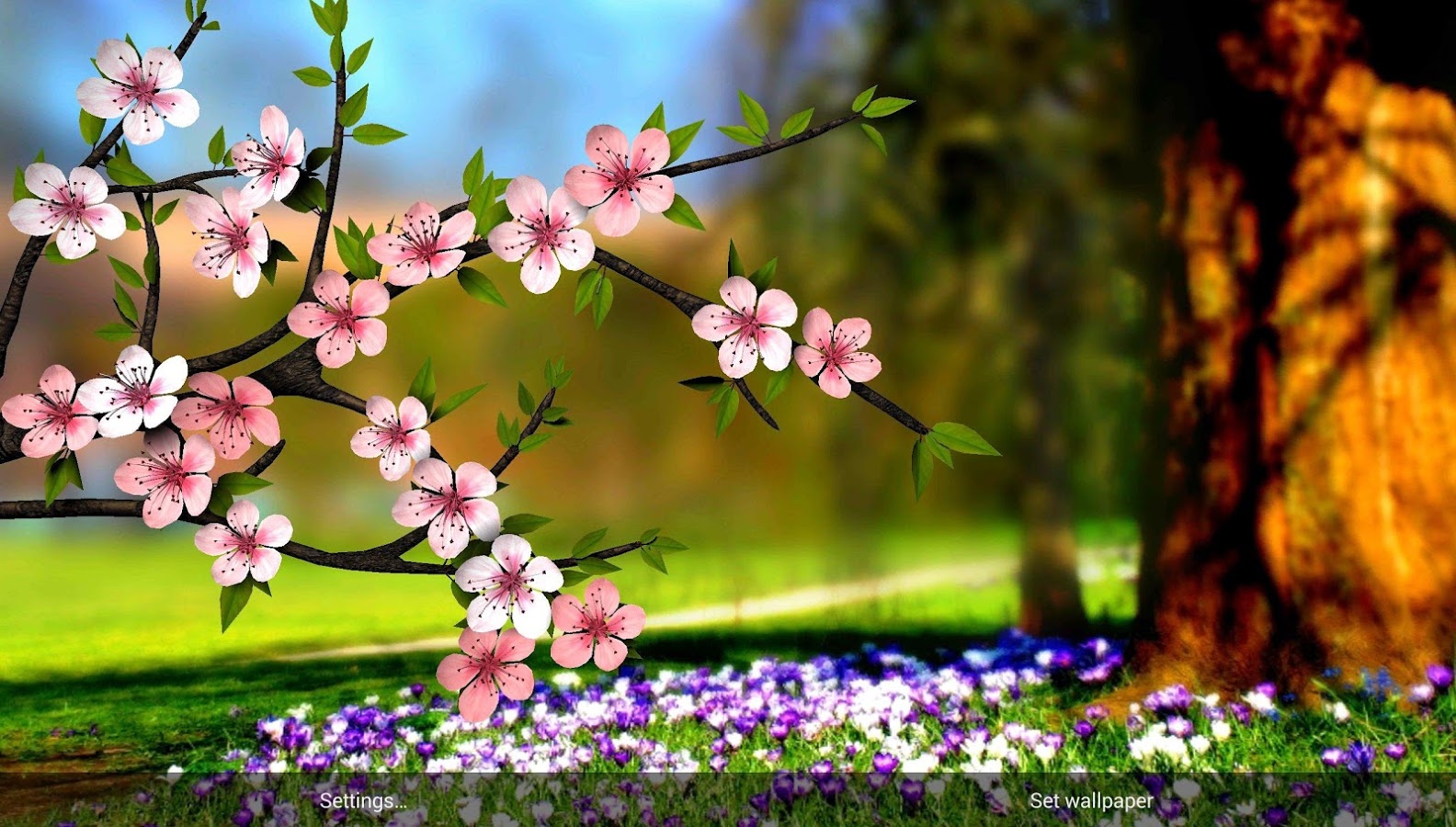 Detail 3d Flower Live Wallpaper Nomer 55