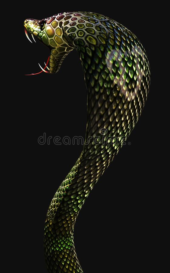 Detail 3d King Cobra Snake Wallpaper Nomer 15