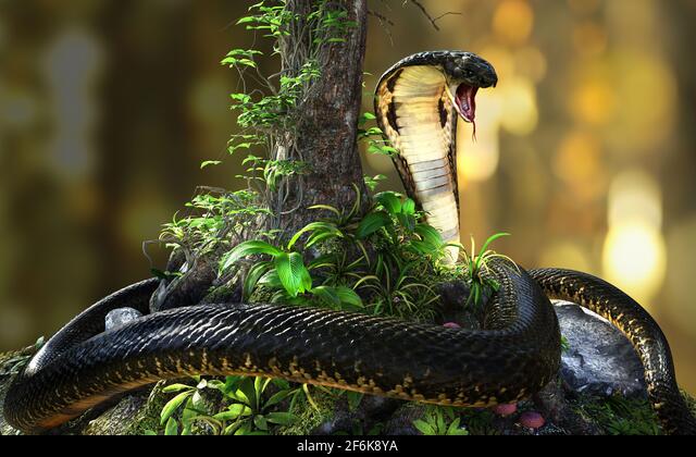 Detail 3d King Cobra Snake Wallpaper Nomer 36