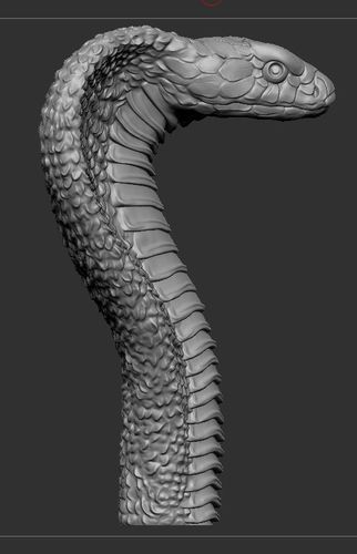 Detail 3d King Cobra Snake Wallpaper Nomer 44
