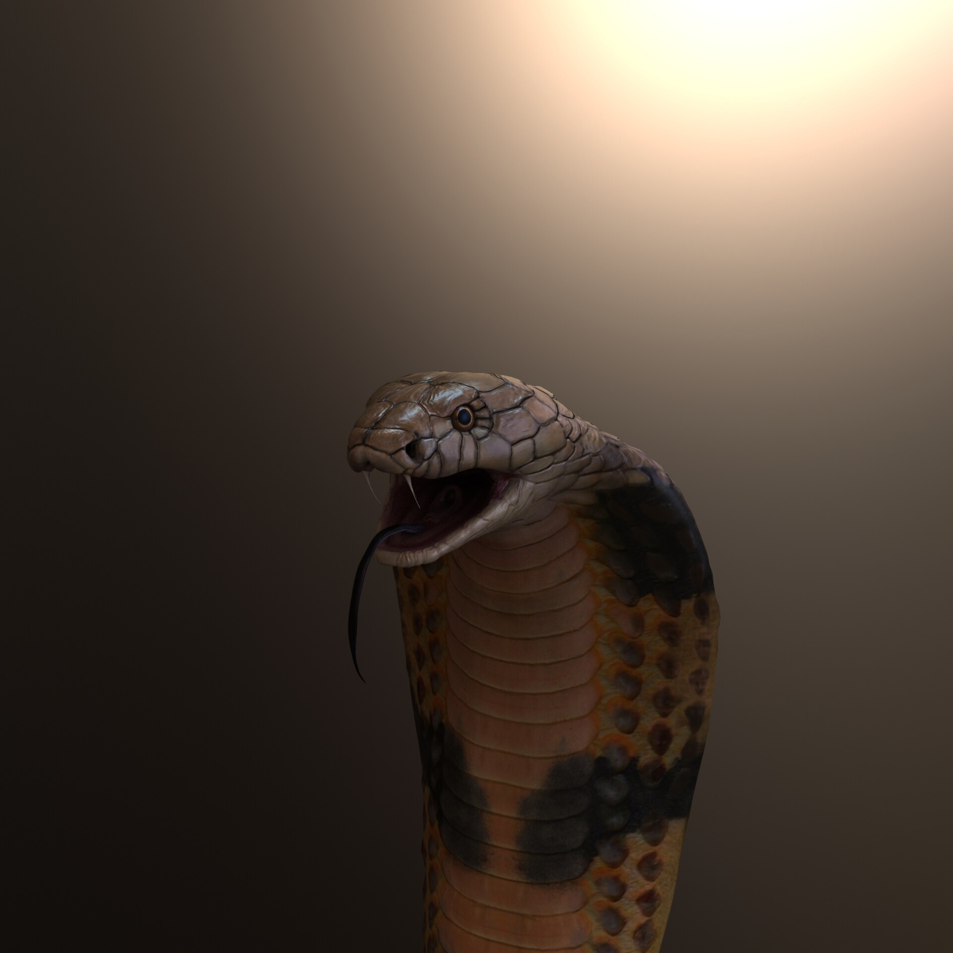 Detail 3d King Cobra Snake Wallpaper Nomer 56