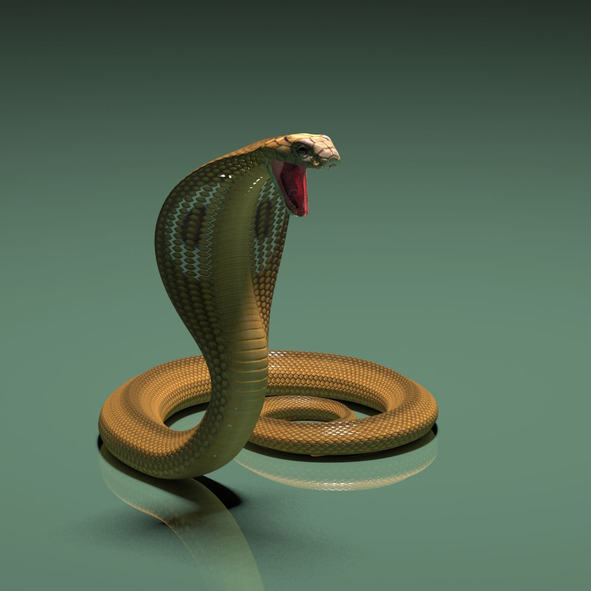 Detail 3d King Cobra Snake Wallpaper Nomer 8