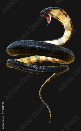 Detail 3d King Cobra Snake Wallpaper Nomer 9