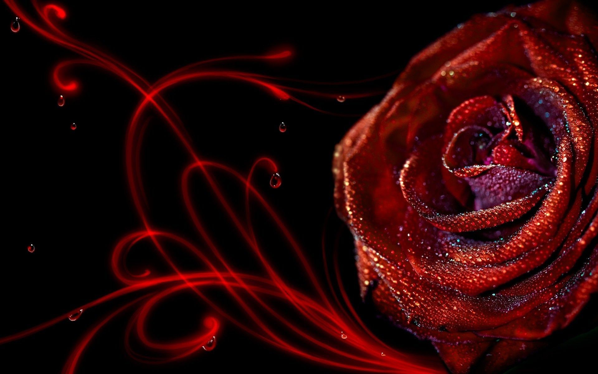 Detail 3d Rose Image Nomer 42