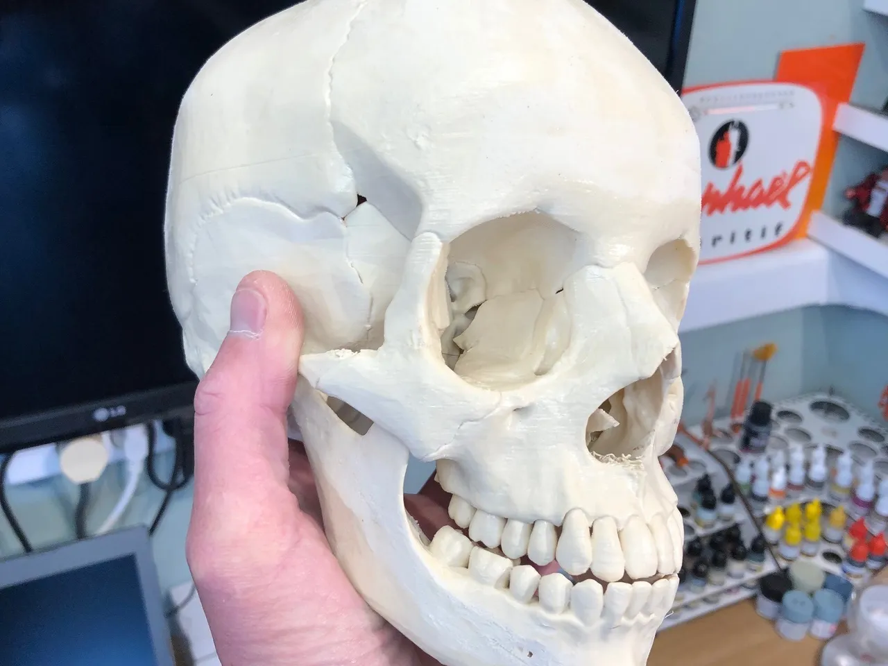 Detail 3d Skull Pictures Nomer 48