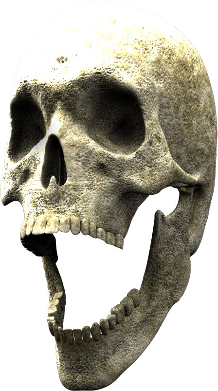 Detail 3d Skull Png Nomer 27