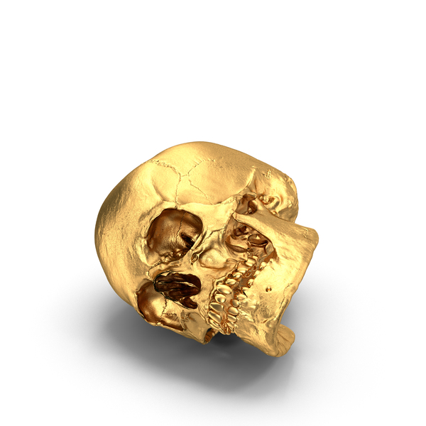 Detail 3d Skull Png Nomer 57