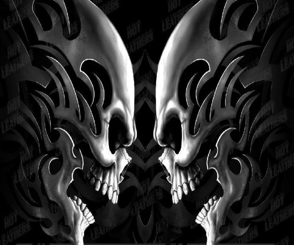 Detail 3d Skull Wallpaper Hd Nomer 41