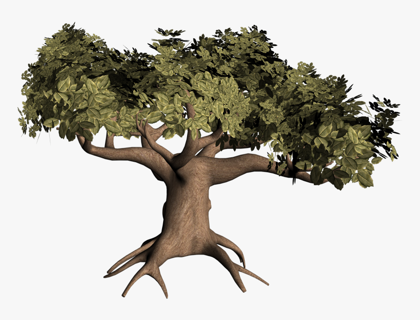 Download 3d Tree Png Nomer 3