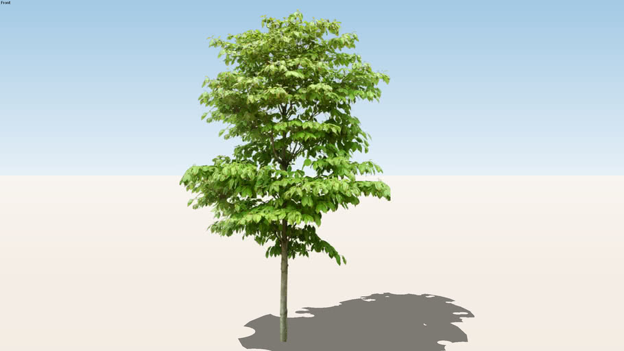 Download 3d Tree Png Nomer 8