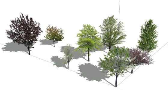 Detail 3d Tree Sketchup Nomer 15