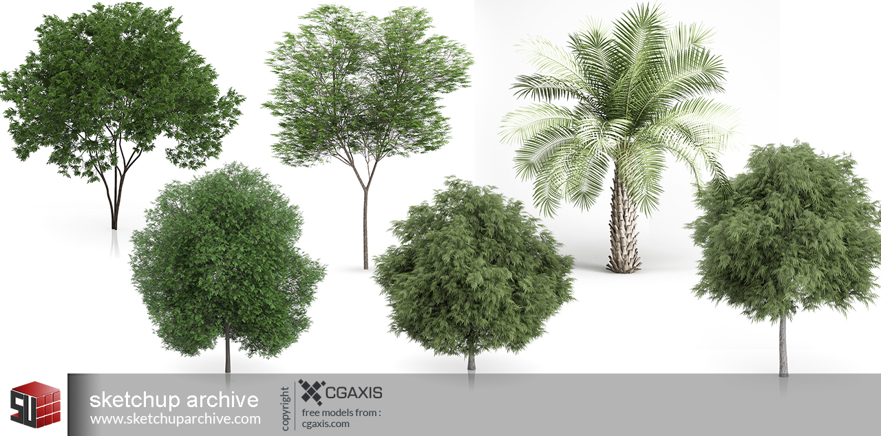 Detail 3d Tree Sketchup Nomer 22