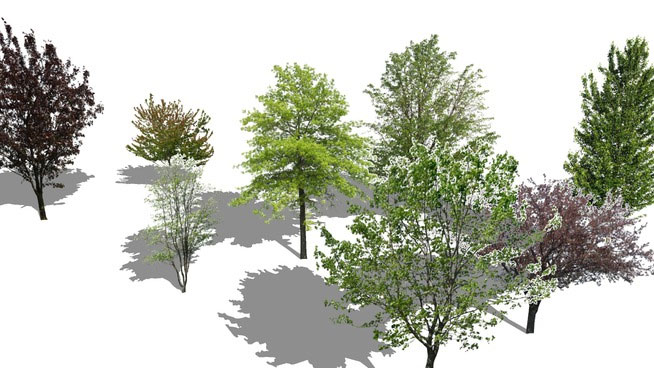 Detail 3d Tree Sketchup Nomer 26