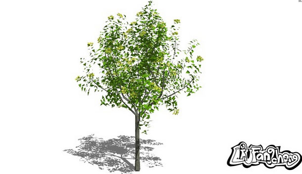 Detail 3d Tree Sketchup Nomer 30