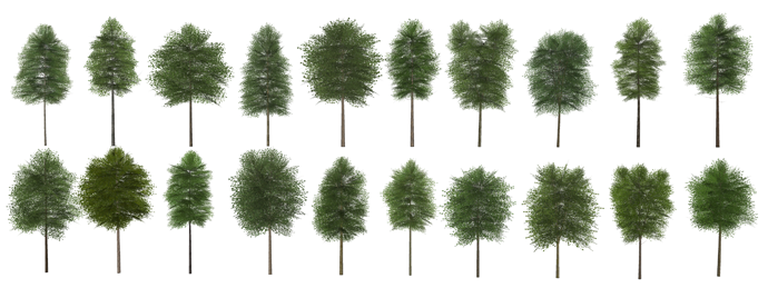 Detail 3d Tree Sketchup Nomer 37